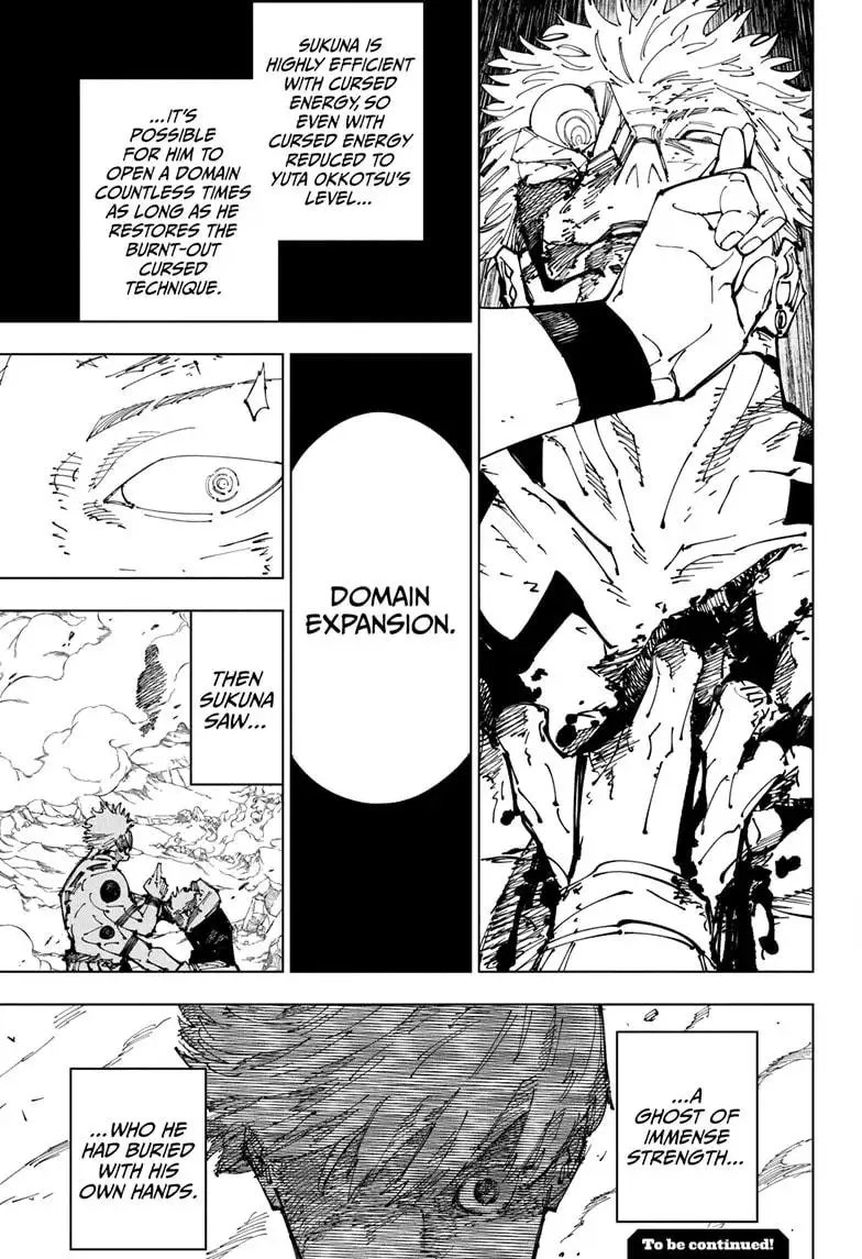 Read Jujutsu Kaisen Chapter 260 Page 17