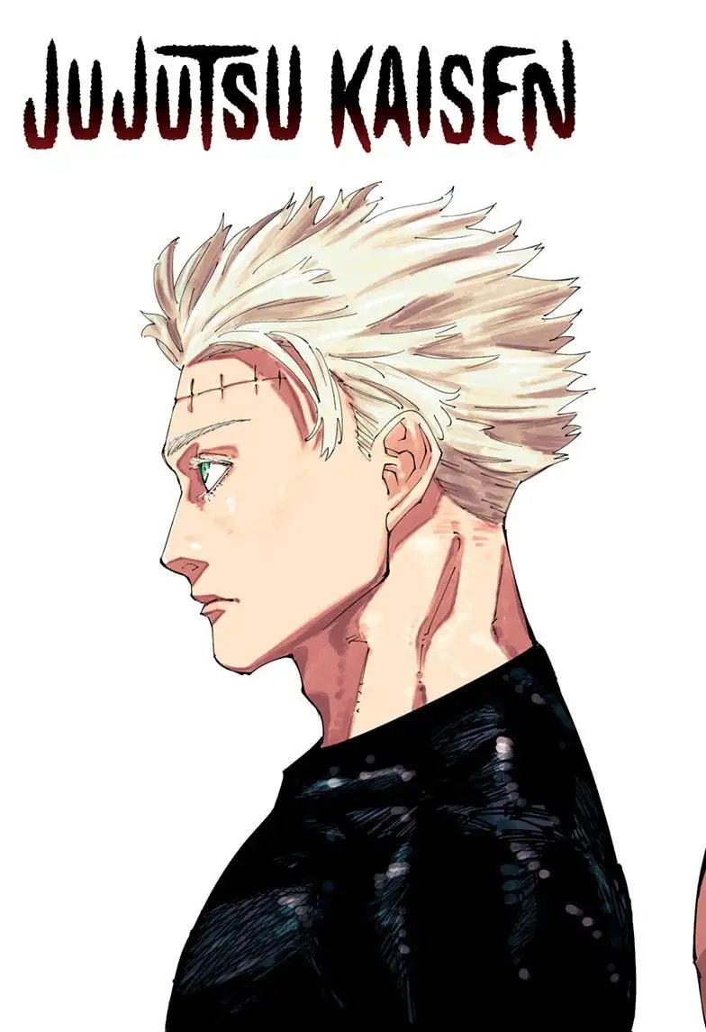 Read Jujutsu Kaisen Chapter 262 Page 2